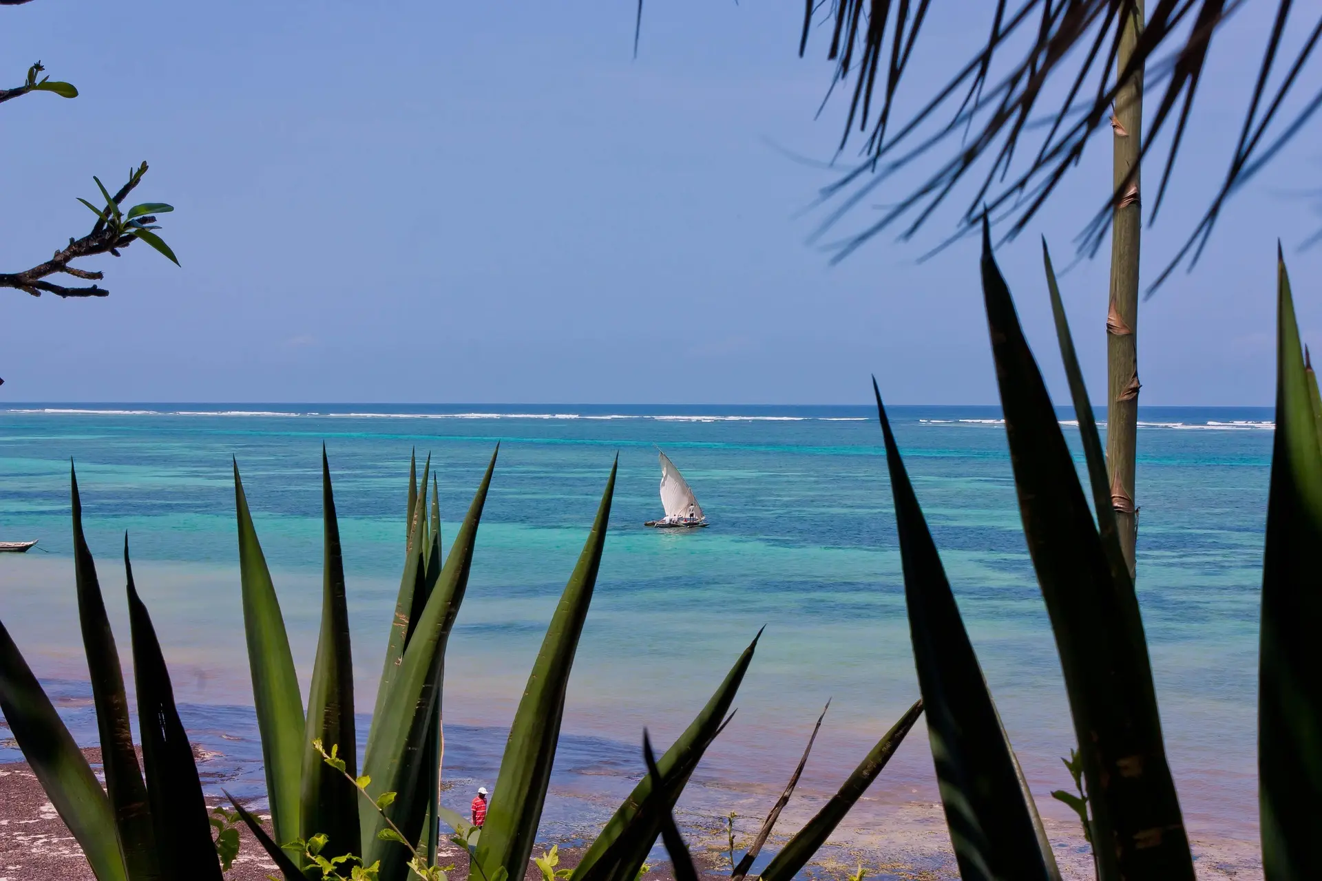 Viaje a medida por la costa de Kenia: playa virgen, dhow tradicional y arrecife de coral