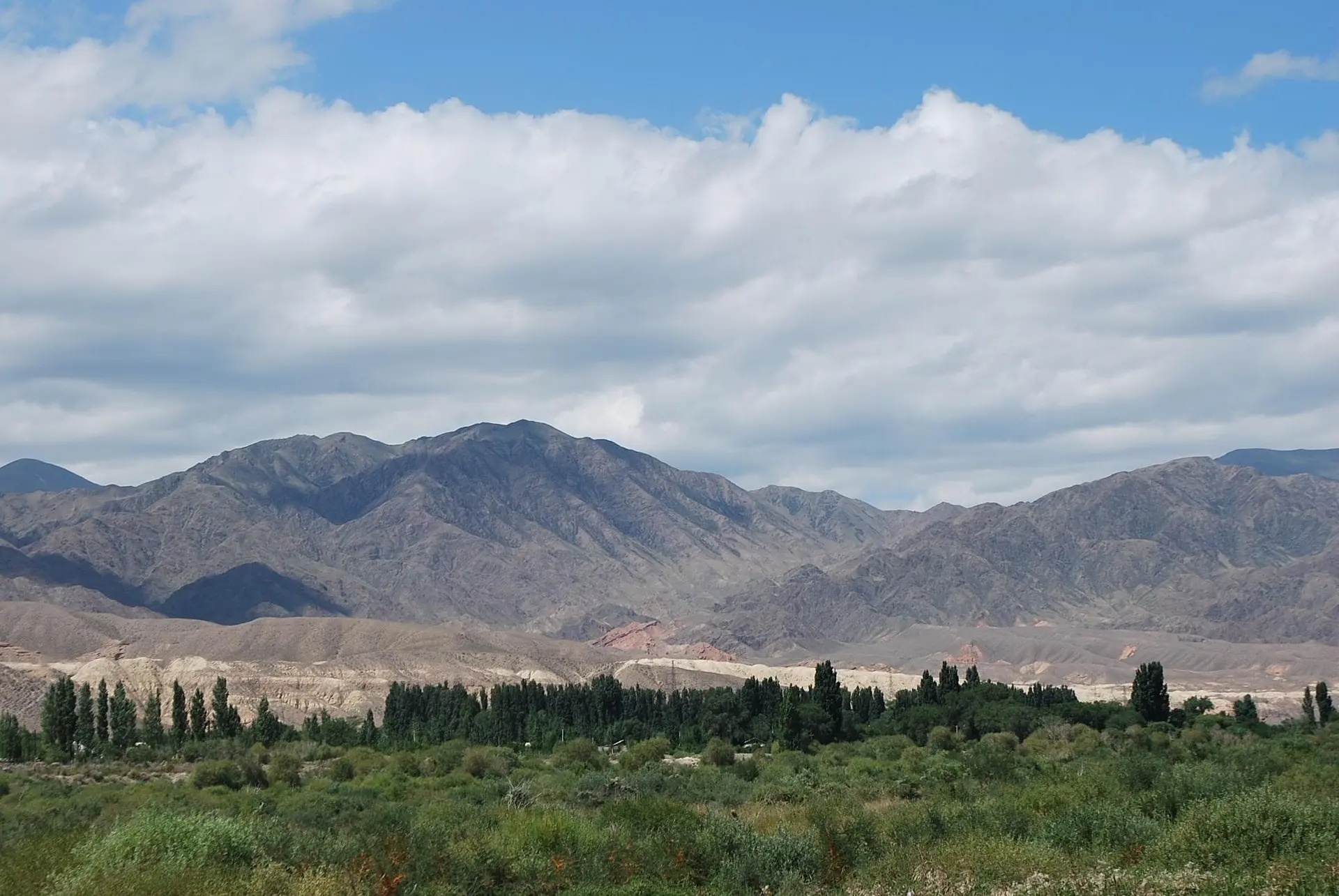 Valle de estepa verde con hileras de álamos al pie de montañas áridas en Kirguistán