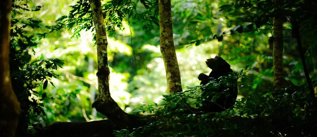 Viajes Transformadores y Turismo Consciente | Kalani Travels